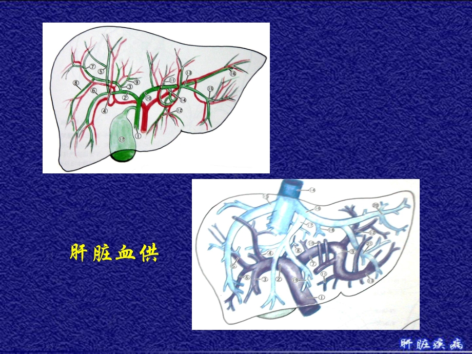 外科护理学课件第30章门脉高压症.pptx_第2页