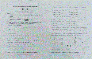 广西崇左市天等县2022—2023学年下学期八年级期中考试数学试题 - 副本.pdf