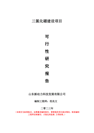 重点项目三氯化硼建设项目可行性研究报告申请立项备案可修改案例.wps