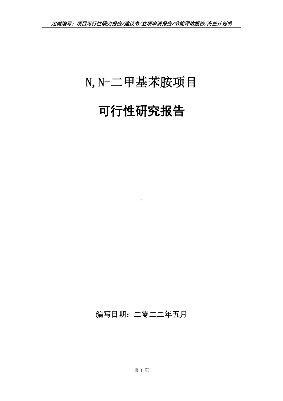 N,N-二甲基苯胺项目可行性报告（写作模板）.doc_第1页