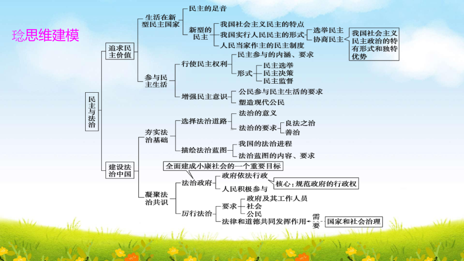 部编版九年级上册道德与法治第二单元 民主与法治 复习课件115张.pptx_第3页