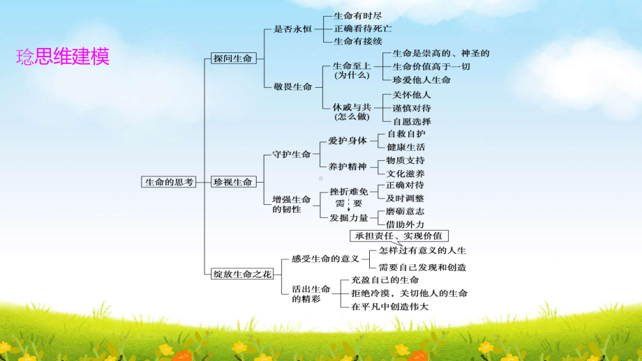 部编版七年级上册道德与法治第四单元 生命的思考 复习课件121张.pptx_第3页