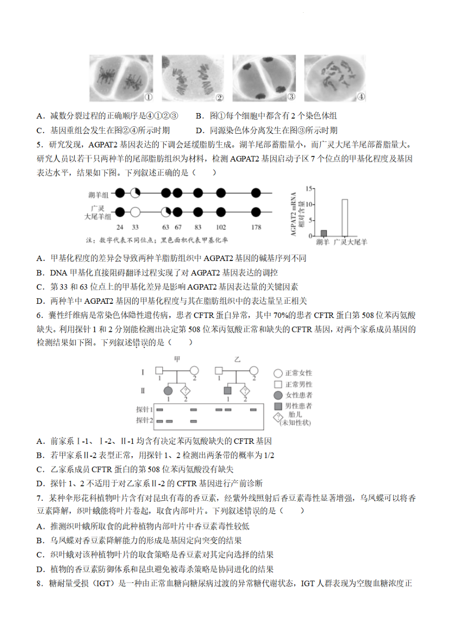 北京市东城区2023届高三下学期一模生物试卷+答案.pdf_第2页