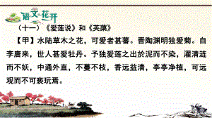 语文现代文阅读7年级文言文比较阅读 第十一篇《爱莲说》和《芙蕖》.pptx