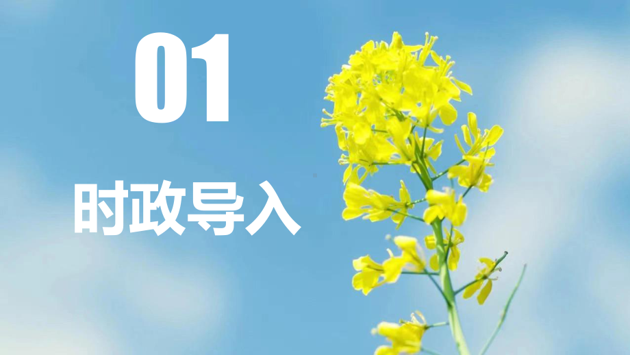 七年级上册第一单元 成长的节拍 复习ppt课件-2023学年中考道德与法治一轮复习.pptx_第3页