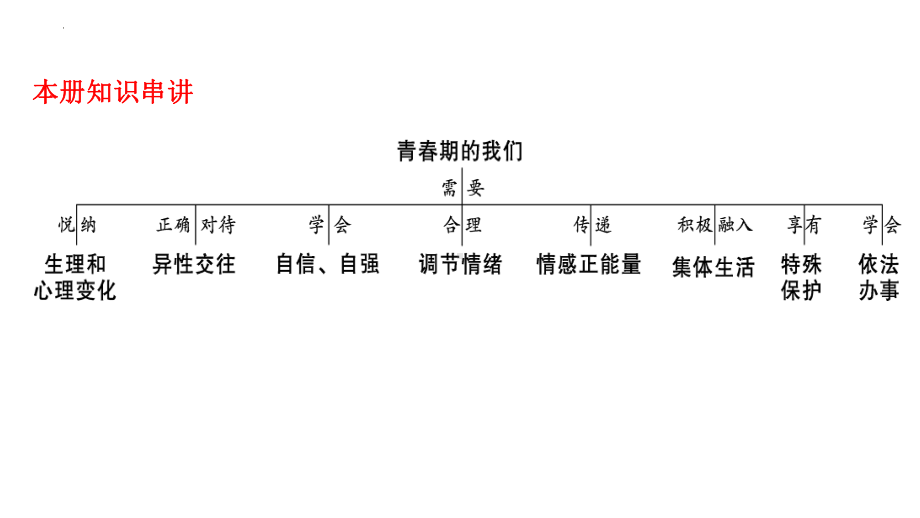 2023年中考道德与法治一轮复习ppt课件（七年级下册）.pptx_第2页