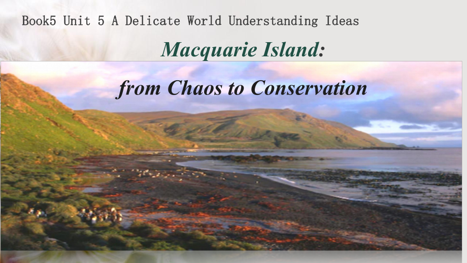 Unit 5 Understanding ideas Macquarie Island 知识点（ppt课件）-2023新外研版（2019）《高中英语》选择性必修第二册.pptx_第1页