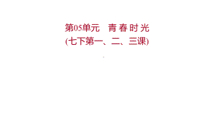 2022年广东省中考道德与法治 一轮复习 第二篇 心理与道德篇 第05单元青春时光 ppt课件.pptx