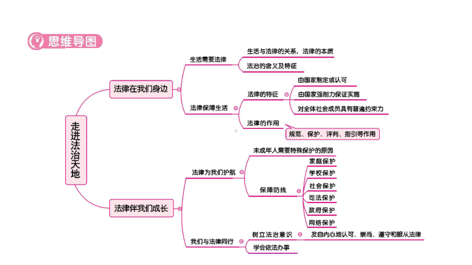 七年级下册第四单元 走进法治天地 复习ppt课件-2023年中考道德与法治一轮复习.pptx_第3页