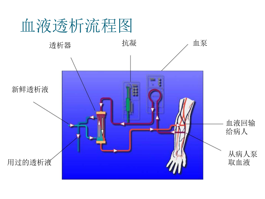 透析新进展医院感染预防控制策略与国际要求.pptx_第3页