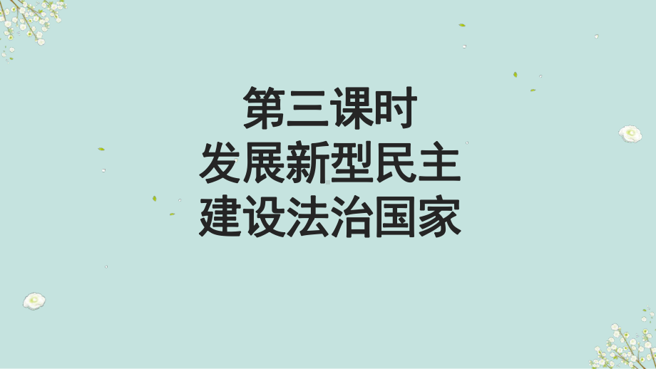 2023中考道德与法治一轮专题复习发展新型民主建设法治国家 ppt课件.pptx_第2页