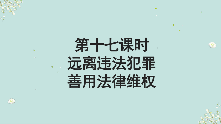 第十七课时 远离违法犯罪 善用法律维权 ppt课件-2023年部编版道德与法治中考解读.pptx_第2页