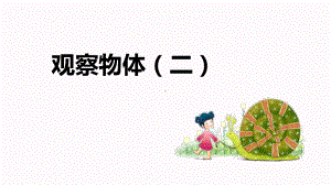 小学数学四年级下册-第二单元 3.观察物体（二）（课件）.pptx