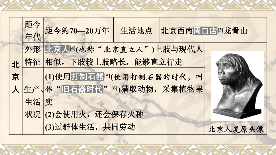 2023年安徽省中考历史备考一轮复习ppt课件：第一单元 史前时期：中国境内早期人类与文明的起源.pptx_第3页