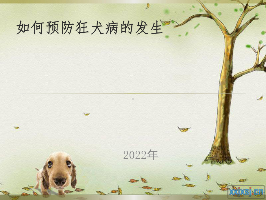 狂犬病的预防.ppt_第1页