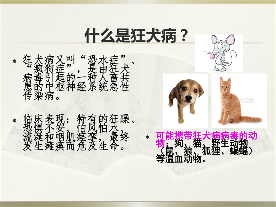 狂犬病的预防.ppt_第2页