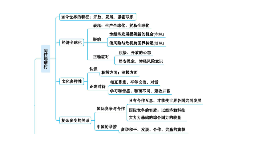 九年级下册第一单元 我们共同的世界 ppt课件-2023年甘肃省中考道德与法治一轮教材考点复习.pptx_第3页