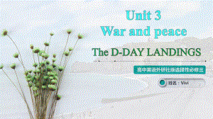 Unit 3 War and peaceUnderstanding ideas （ppt课件） -2023新外研版（2019）《高中英语》选择性必修第三册.pptx