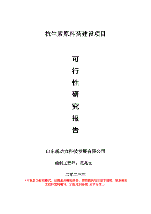 重点项目抗生素原料药建设项目可行性研究报告申请立项备案可修改案例.wps