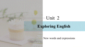 Unit 2 Exploring English 词汇（ppt课件）-2023新外研版（2019）《高中英语》必修第一册.pptx