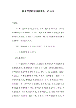 在全市秸秆禁烧推进会上的讲话.docx