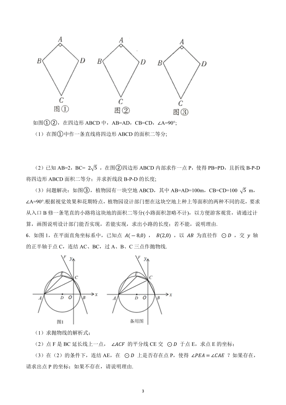 2023年中考数学专题训练：三角形综合题.docx_第3页