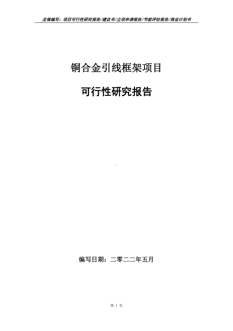 铜合金引线框架项目可行性报告（写作模板）.doc_第1页