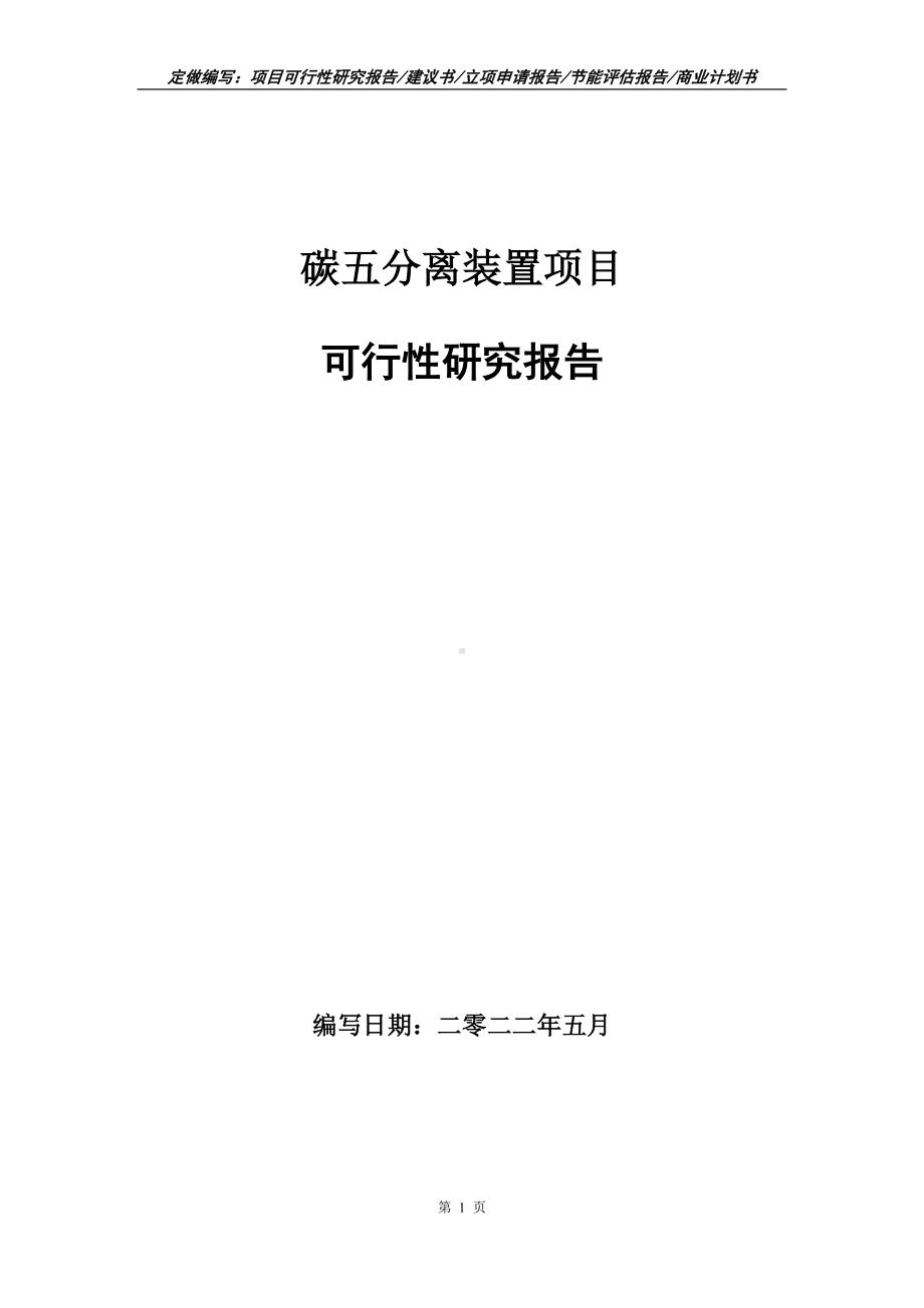 碳五分离装置项目可行性报告（写作模板）.doc_第1页