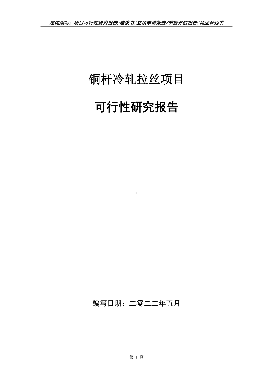 铜杆冷轧拉丝项目可行性报告（写作模板）.doc_第1页