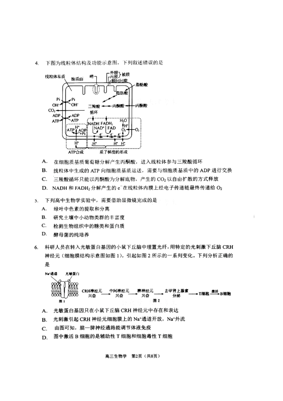 天津市南开区2023届高三下学期质量检测（一）生物试卷+答案.pdf_第2页