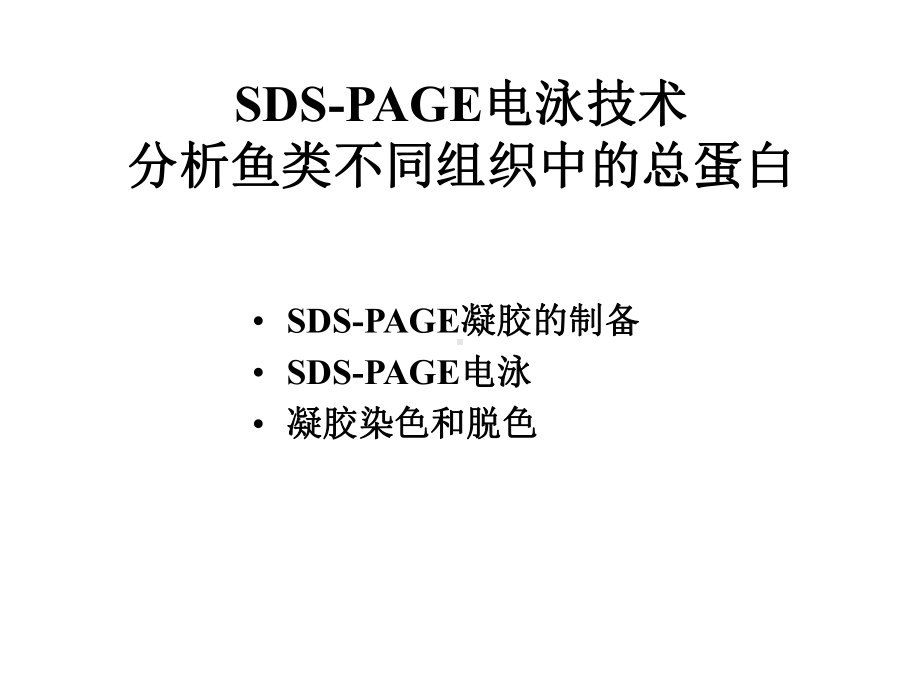 大二生化实验张蕾实验六 SDS-PAGE电泳技术.pptx_第1页