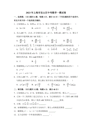 上海市宝山区2023届初三中考一模数学试卷+答案.docx