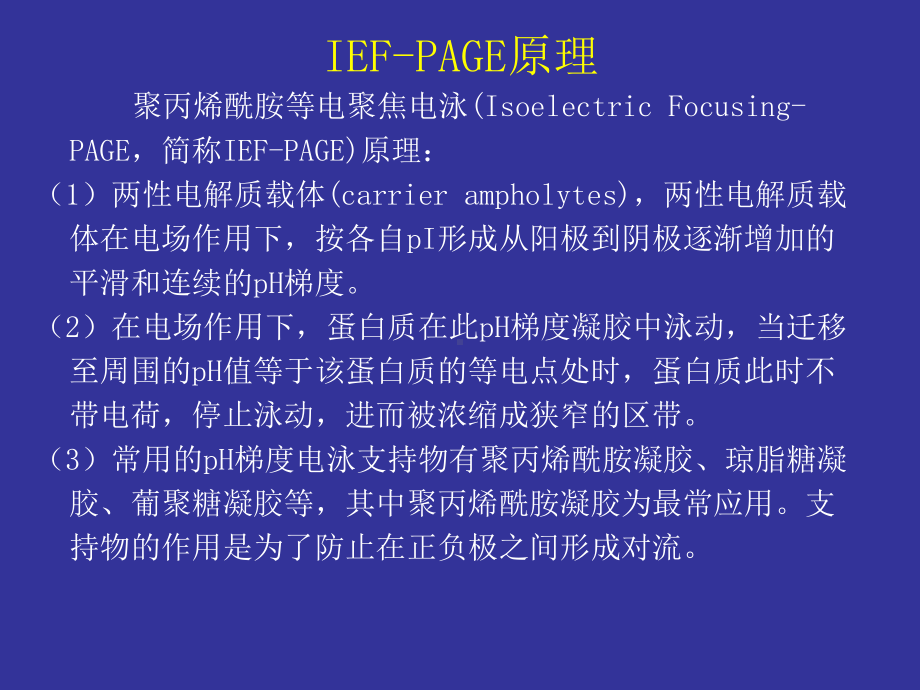 大二生化实验张蕾5、IEF-PAGE聚丙烯酰胺凝胶电泳.pptx_第2页