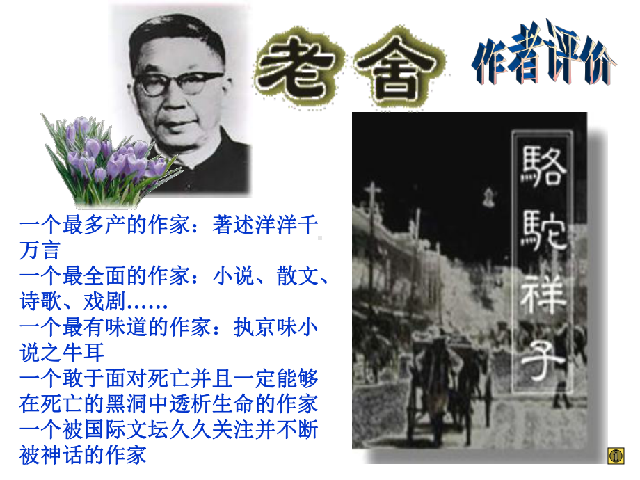 名著导读：骆驼祥子.ppt_第3页