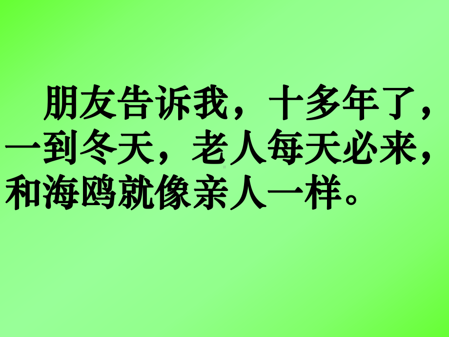 老人与海鸥 (8).ppt_第2页