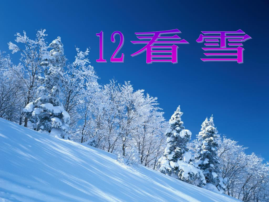 看雪教学课件.ppt_第2页