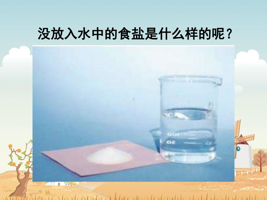 水能溶解一些物质PPT.ppt_第3页