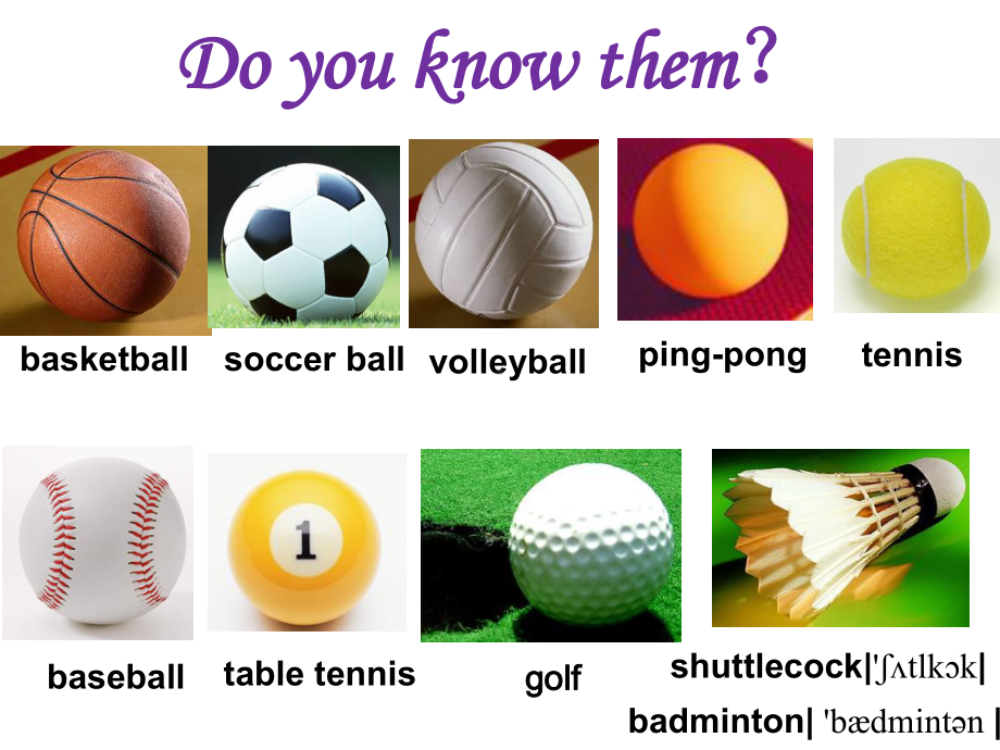 七年级英语上册-Unit-5-Do-you-have-a-soccer-ball？.ppt_第2页