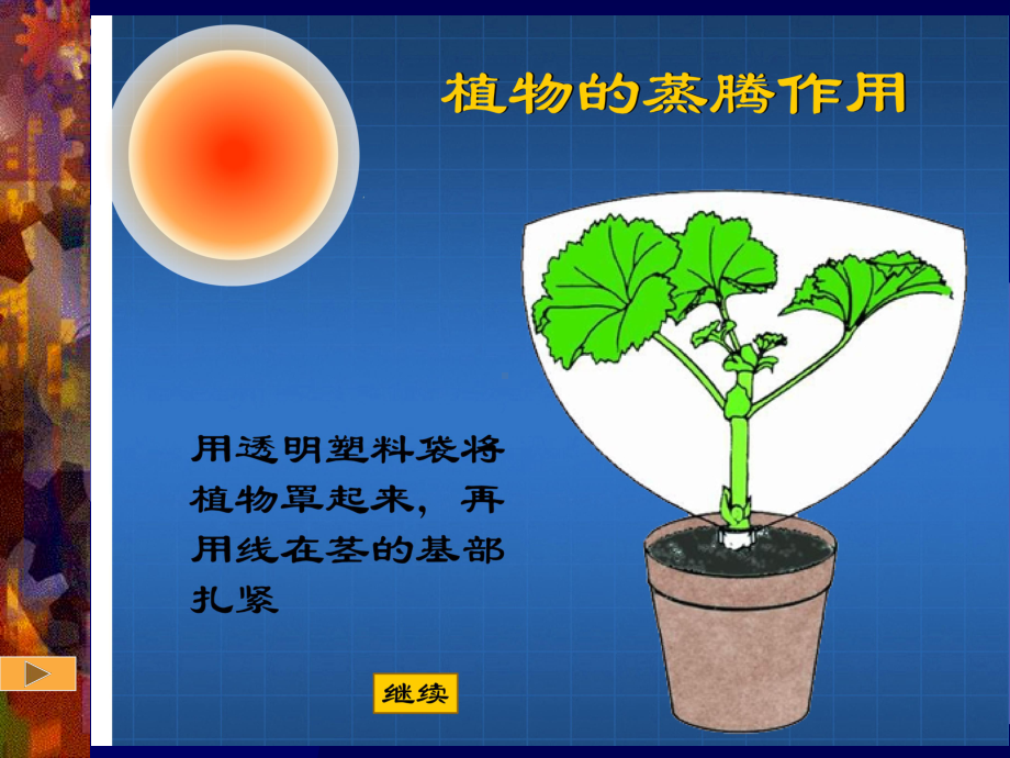 绿色植物参与生物圈的水循环1.ppt_第2页