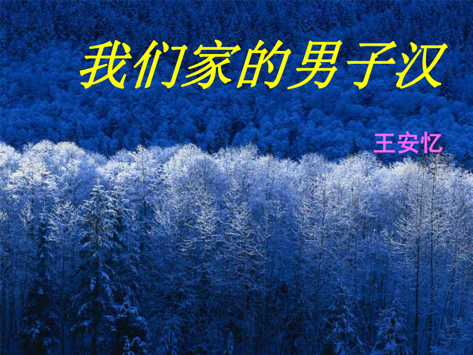 我们家的男子汉(318).ppt_第1页