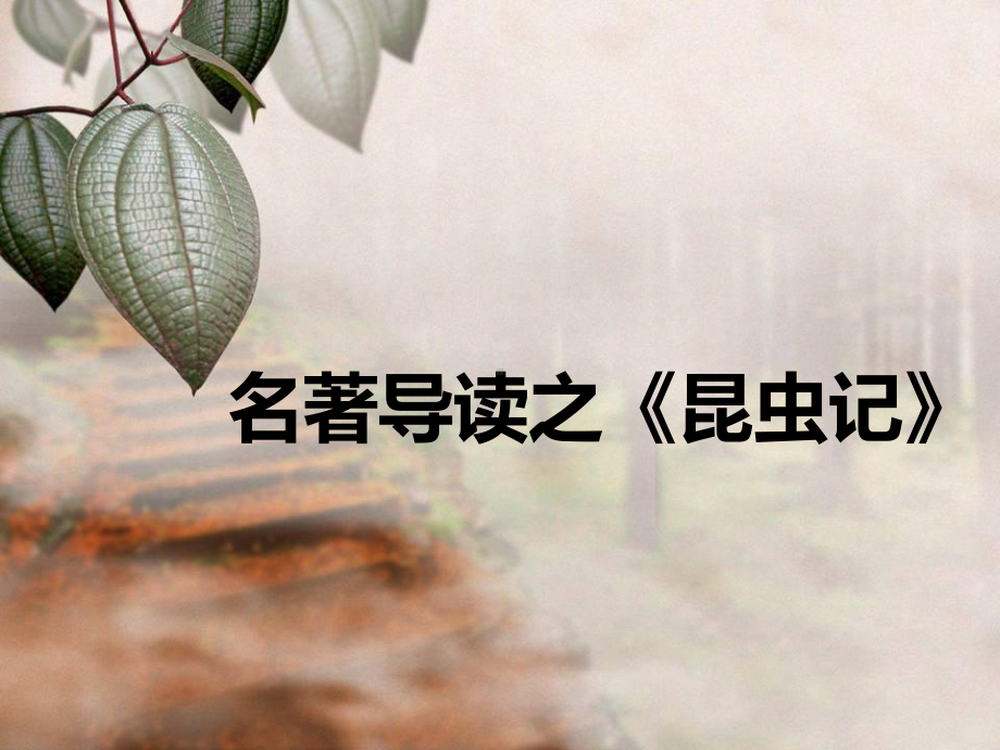 昆虫记公开课（用）.ppt_第1页