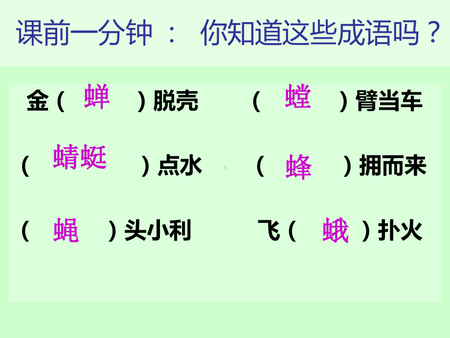 昆虫记公开课（用）.ppt_第2页