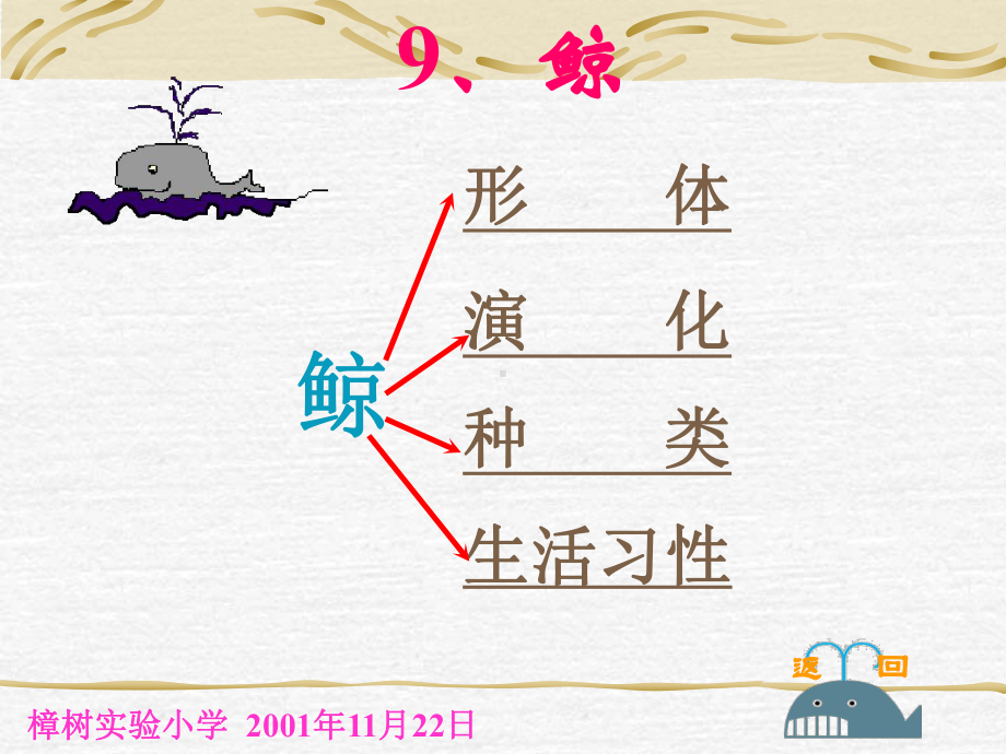 人教版小学语文五年级上册《鲸》PPT课件 (2).ppt_第3页