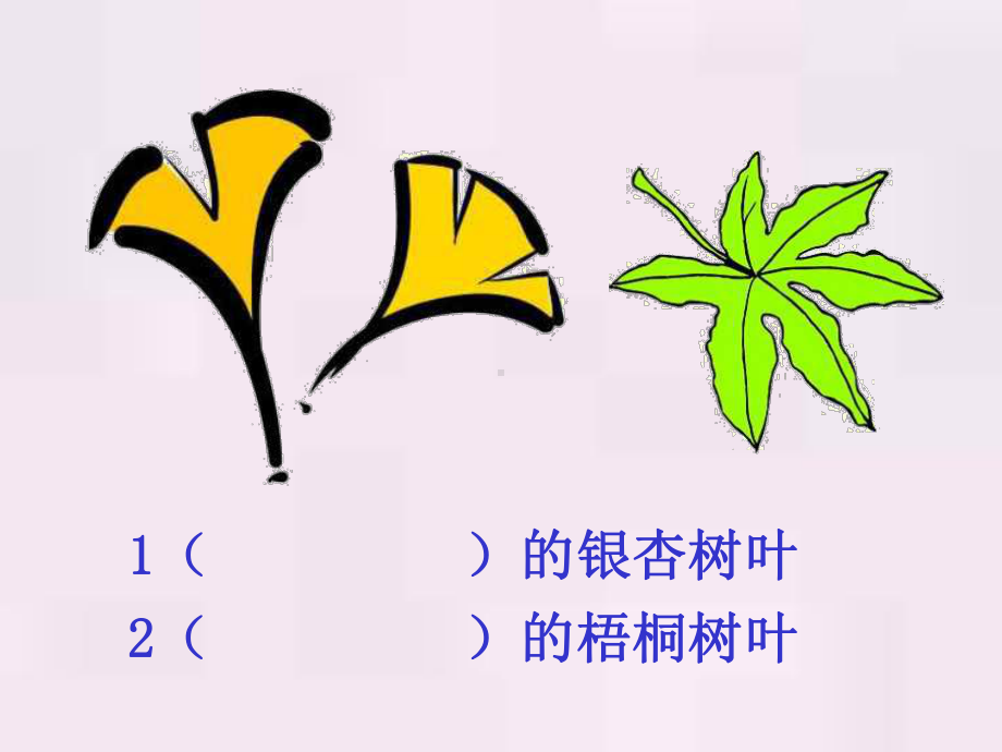 人教版小学语文二年级上册《蓝色的树叶》PPT课件.ppt_第2页