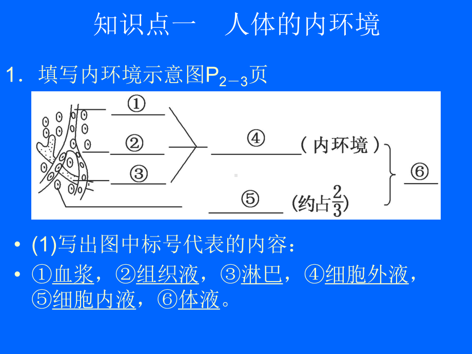 人体内环境的稳态.ppt_第3页