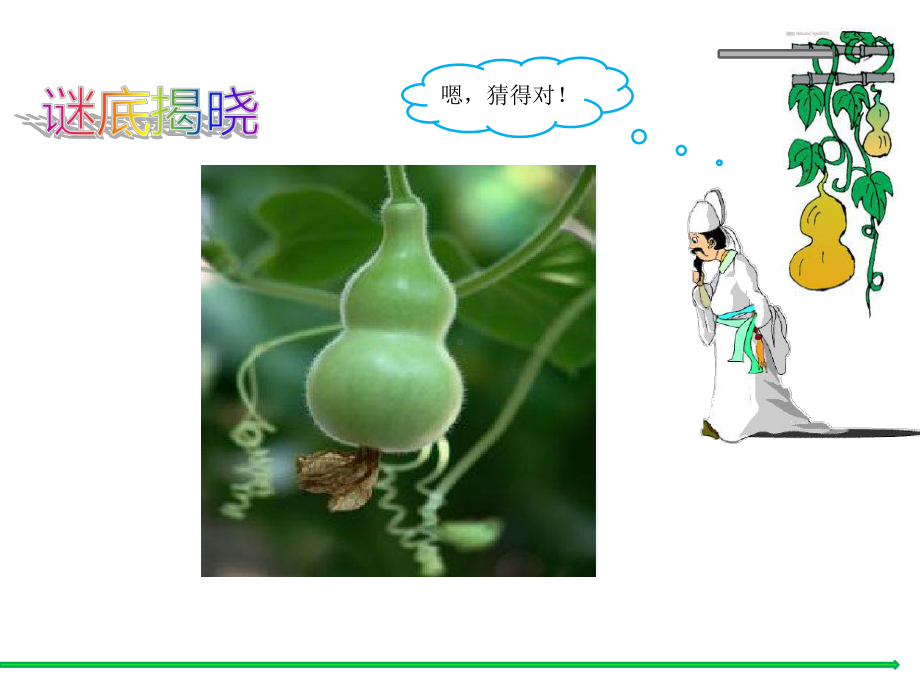 我要的是葫芦吴纯瑶.ppt_第3页