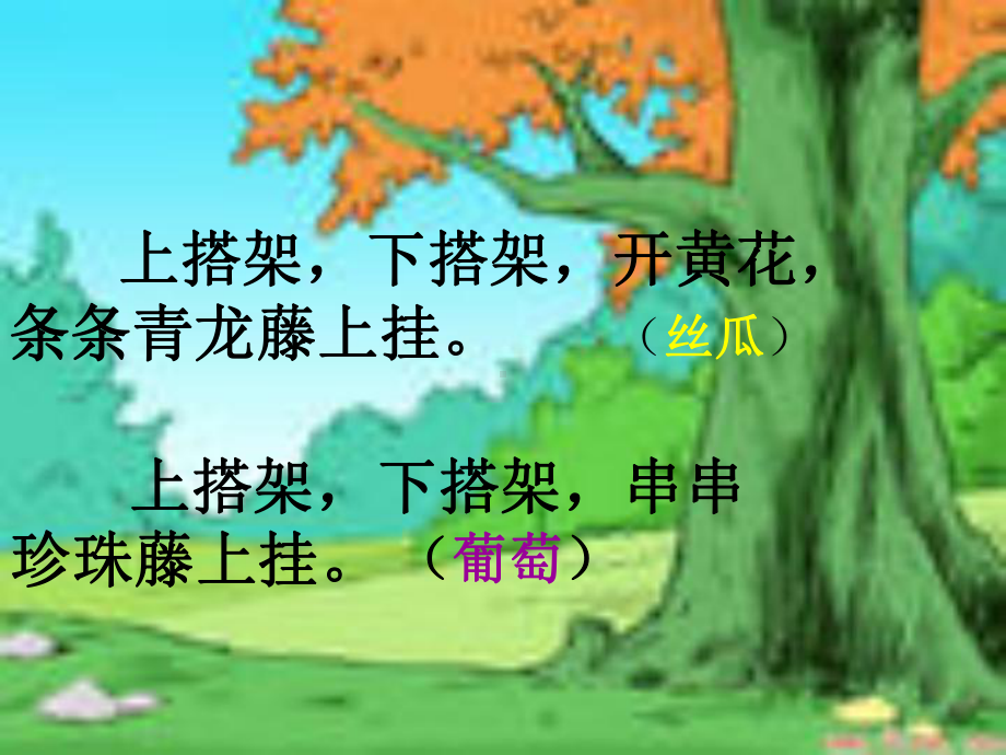 爬山虎的脚 (7).ppt_第1页