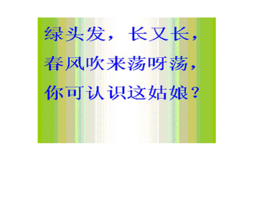 人教版小学语文二年级上册《小柳树和小枣树》PPT课件.ppt_第2页