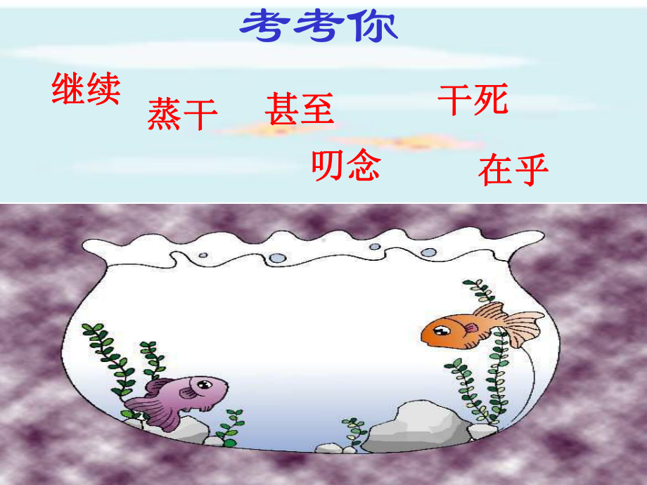 潜水洼里的鱼.ppt_第1页