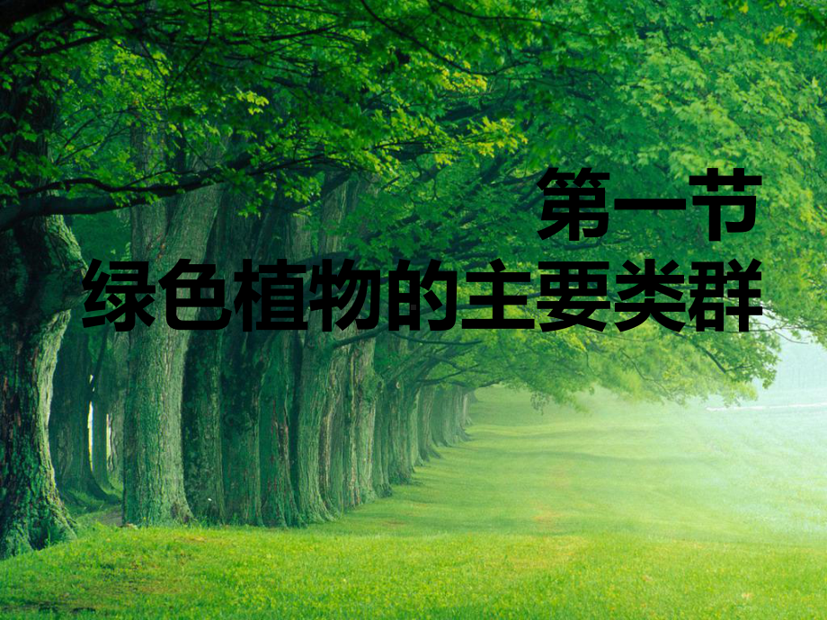 绿色植物的主要类群--济南版.ppt_第1页